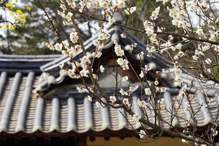 \Delta S > \frac{Q}{T}