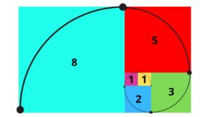 Espiral de Fibonacci: Natureza, Matemática e Beleza