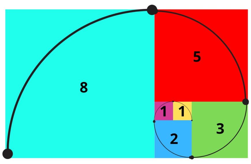Espiral de Fibonacci: Natureza, Matemática e Beleza